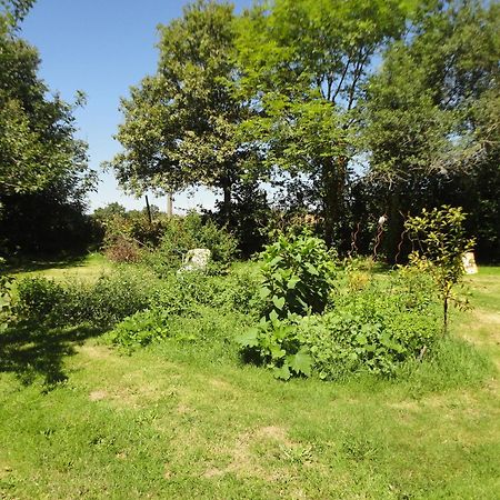 Tranquille Vienne Gites A Chirac Dept Charente Luaran gambar