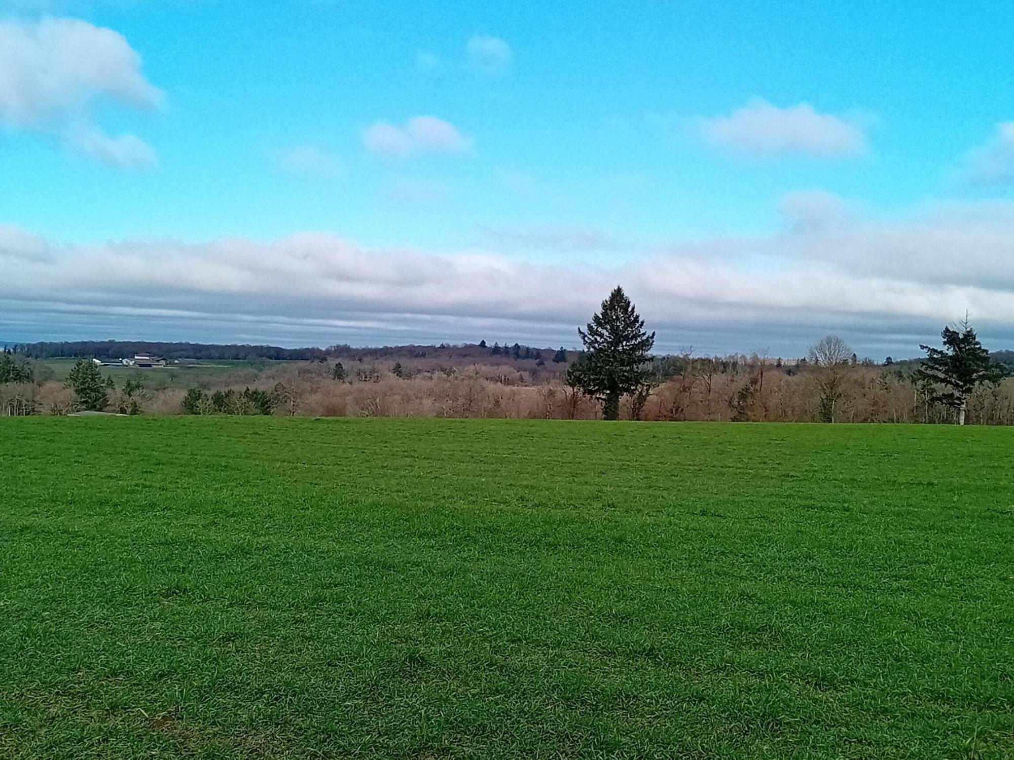 Tranquille Vienne Gites A Chirac Dept Charente Luaran gambar