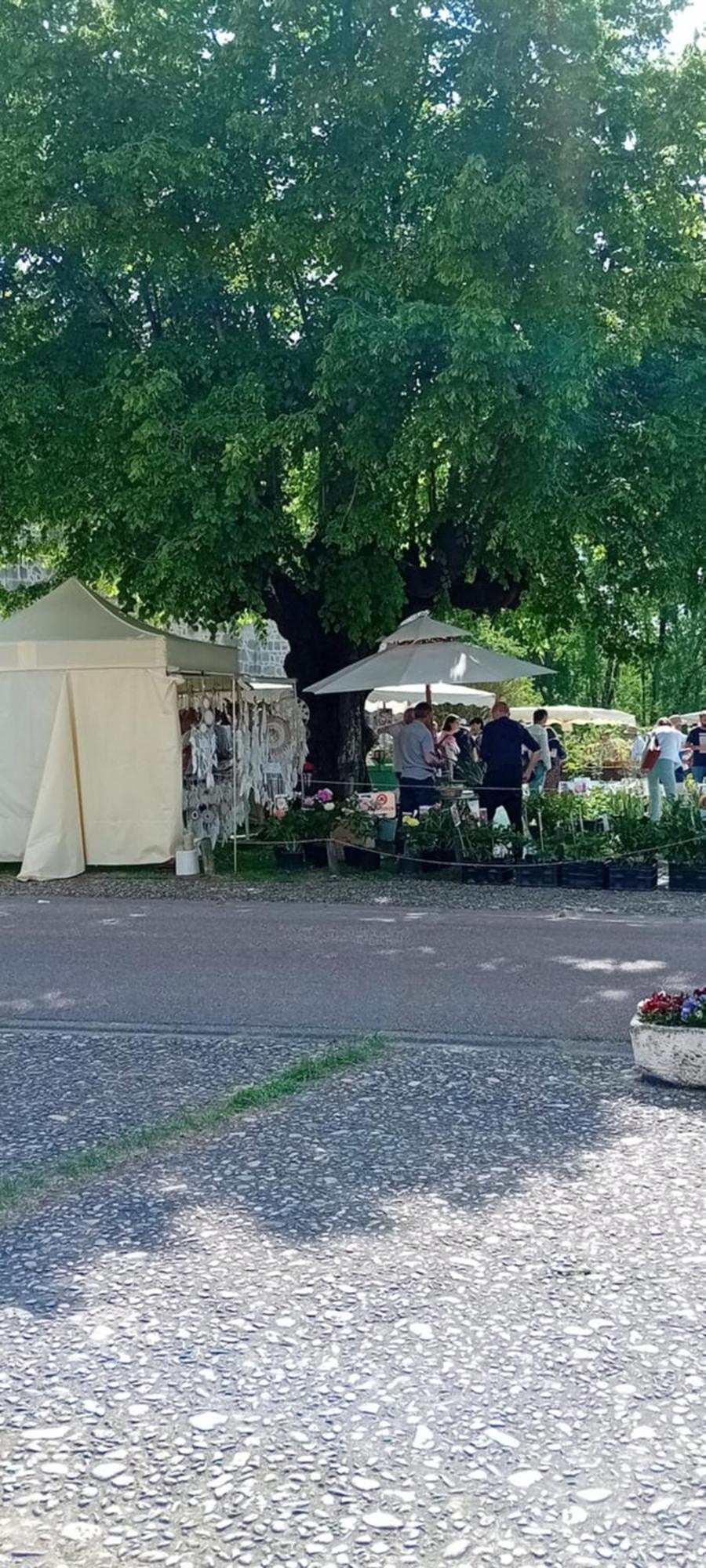 Tranquille Vienne Gites A Chirac Dept Charente Luaran gambar